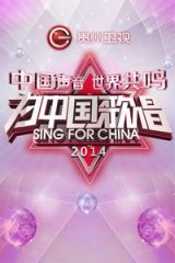 贵州卫视跨年音乐盛典2014